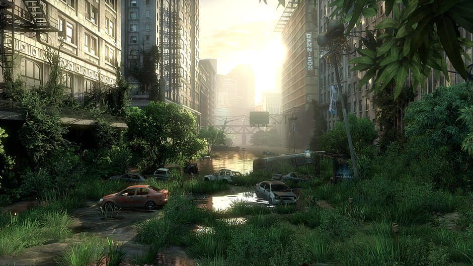 The Last of Us game image